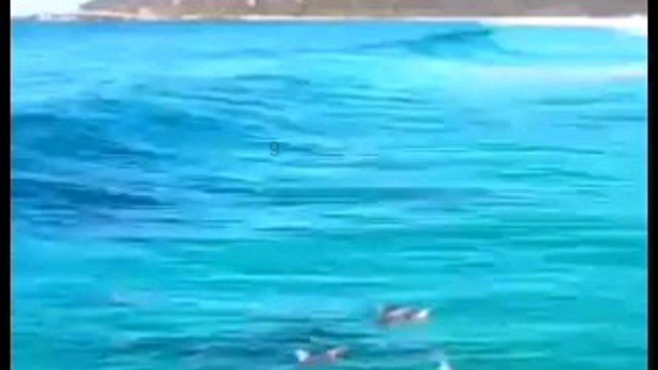 我市首个校园消防体验站投用